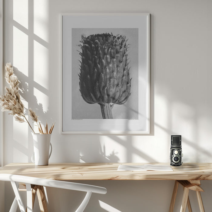 Cirsium Canum (Thistle) Framed Art Wall Decor