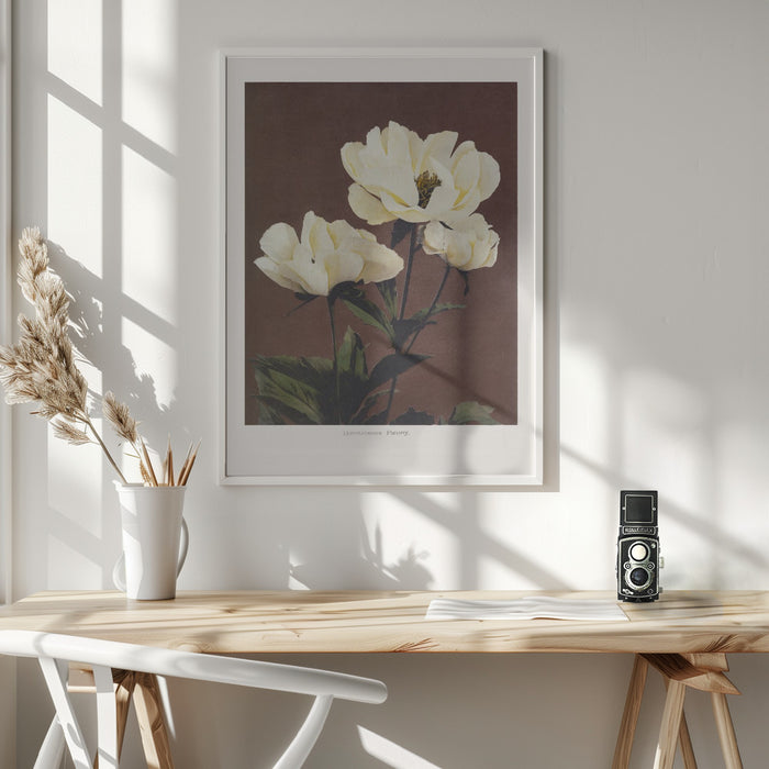 Hærdaceous Peony Framed Art Modern Wall Decor