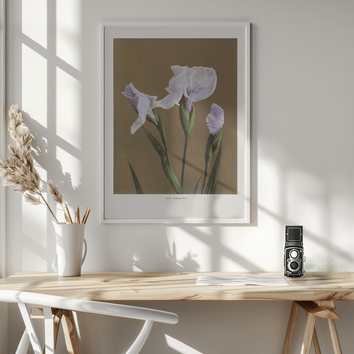 Iris Kæmpferi no2 Framed Art Modern Wall Decor