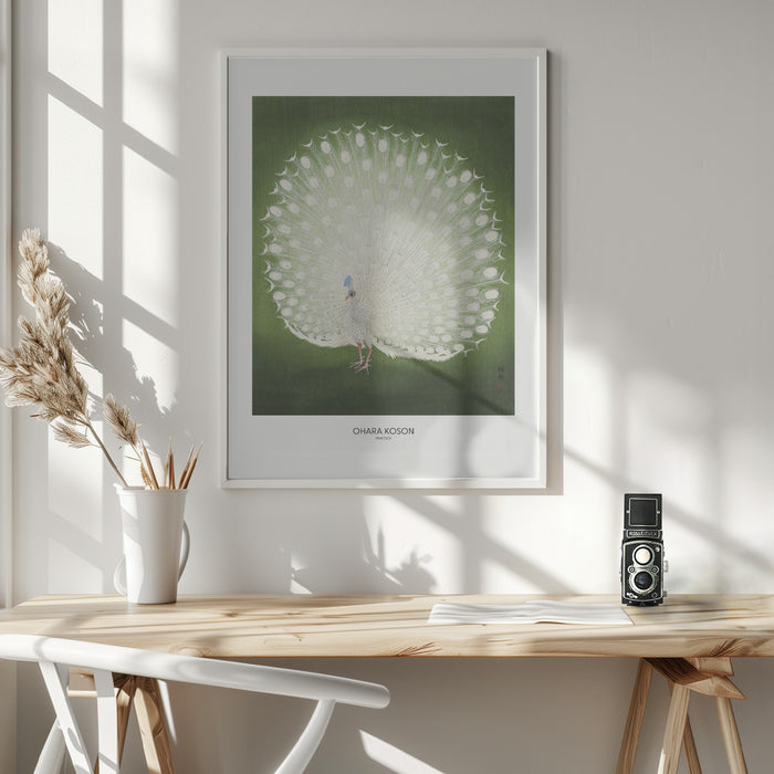 Peacock - Wide Framed Art Wall Decor