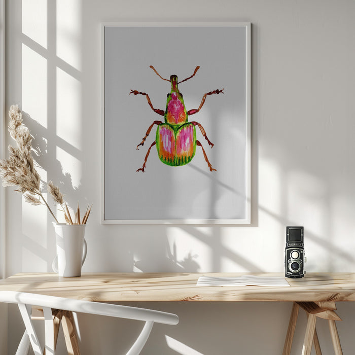 Apricot weevil or Epirhynchites auratus Framed Art Wall Decor