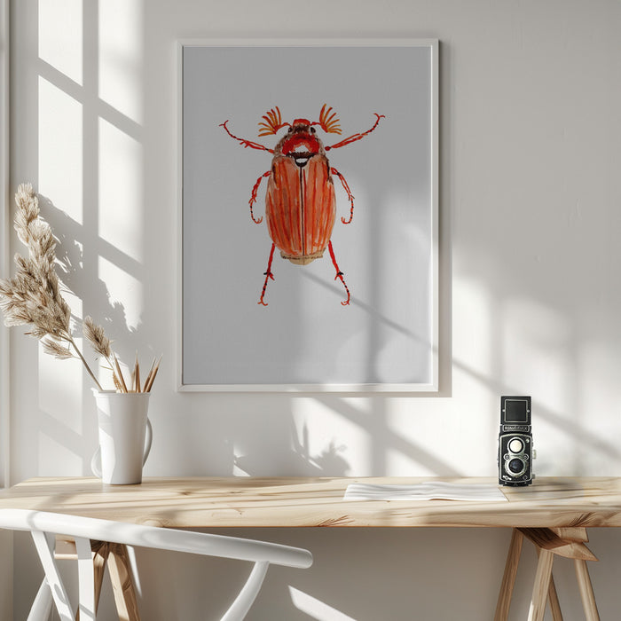 Forest cockchafer or Melolontha hippocastani Framed Art Wall Decor