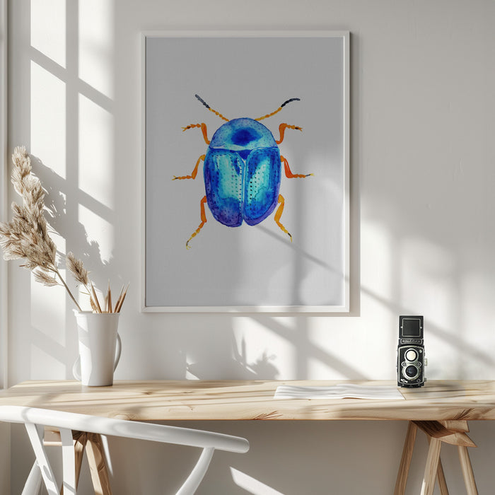 Blue leaf beetle or Colaphus sophiae Framed Art Wall Decor