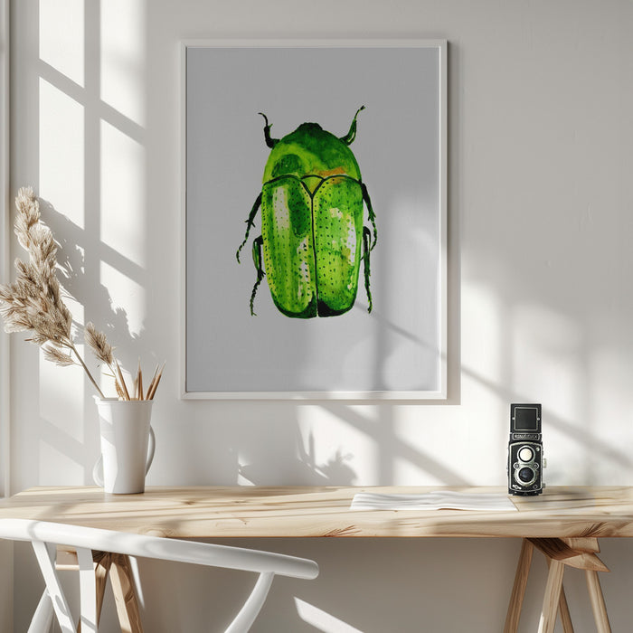 Green June beetle or Cotinis nitida Framed Art Wall Decor