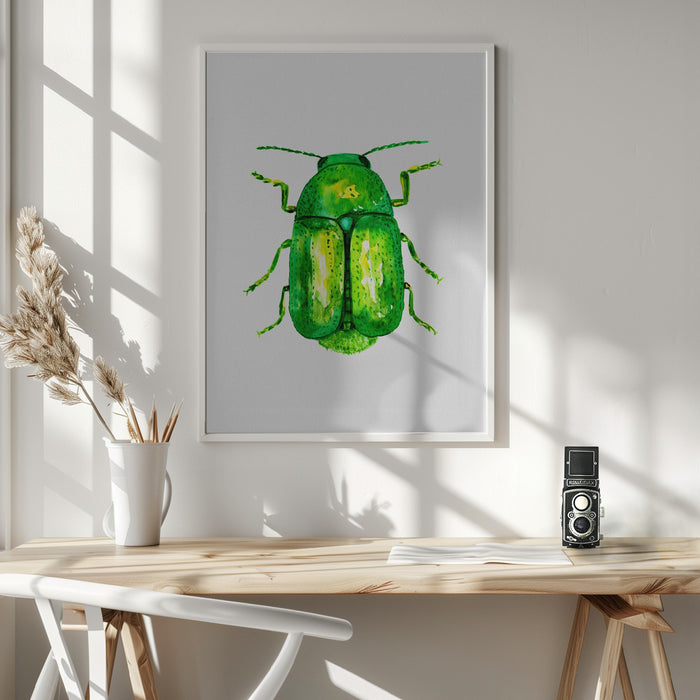 Cylindrical leaf beetle or Cryptocephalus sericeus Framed Art Wall Decor