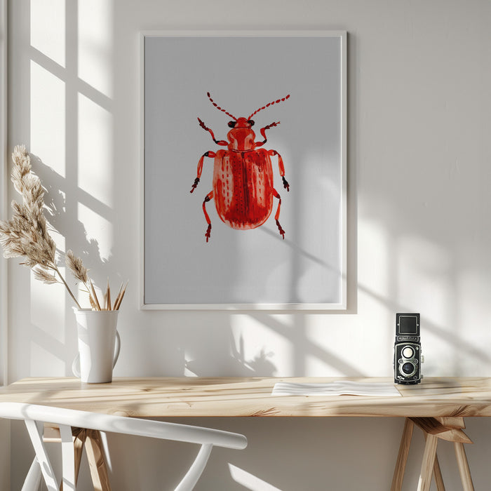 Onion beetle or Lilioceris merdigera Framed Art Wall Decor