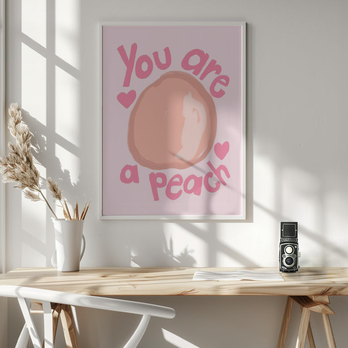 Peach Framed Art Modern Wall Decor