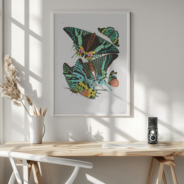 Butterflies 3 Framed Art Wall Decor