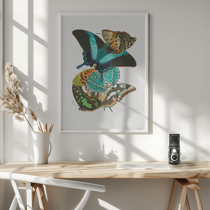 Butterflies 5 Framed Art Wall Decor