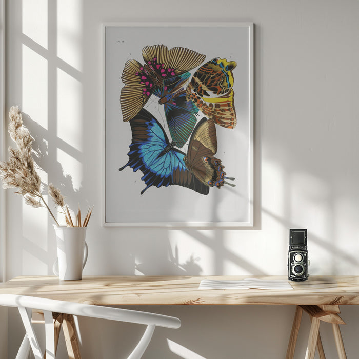 Butterflies 4 Framed Art Wall Decor