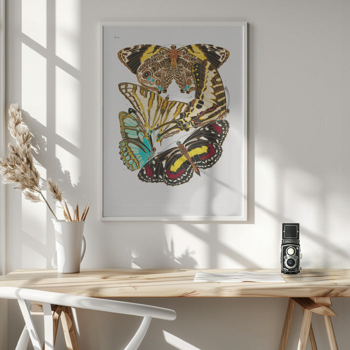 Butterflies 10 Framed Art Wall Decor