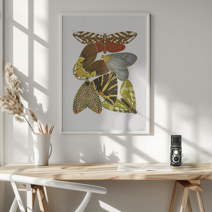 Butterflies 6 Framed Art Wall Decor