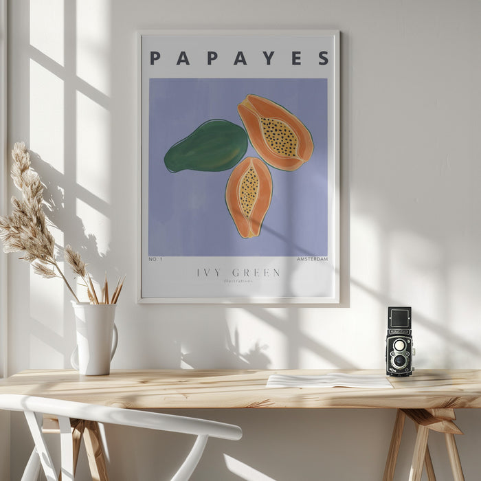 Papayes Framed Art Modern Wall Decor