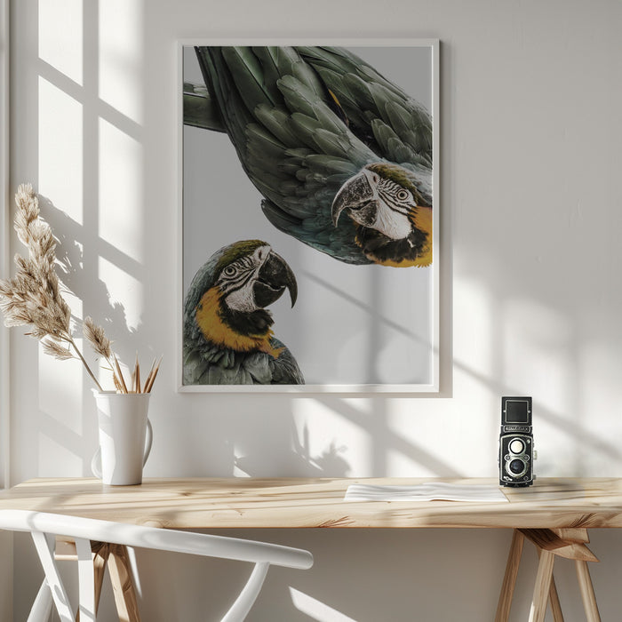 Amazonia Framed Art Wall Decor