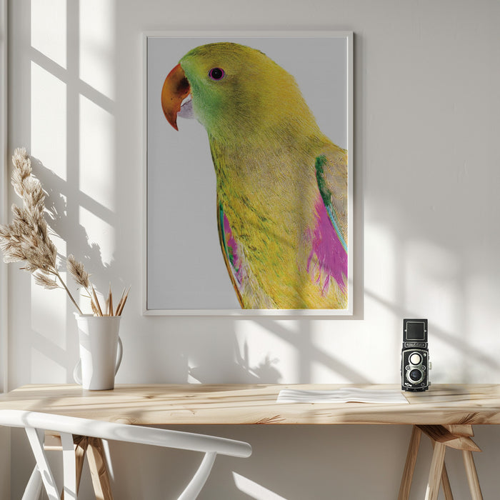 Polly Framed Art Wall Decor