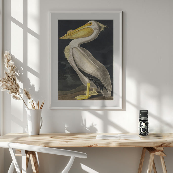 American White Pelican From Birds of America (1827) Framed Art Wall Decor