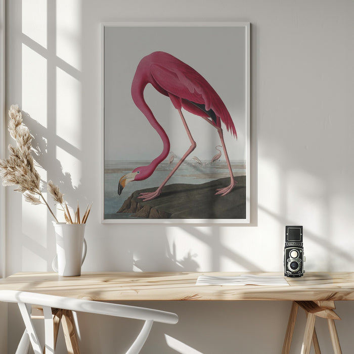 Pink Flamingo Ii From Birds of America (1827) Framed Art Wall Decor