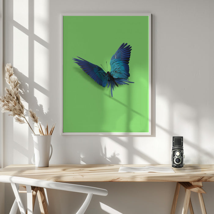 Parrot Butterfly Framed Art Wall Decor