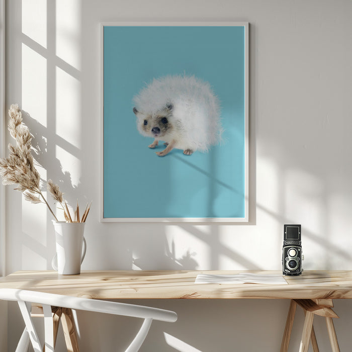 Prickly Like Dandelion Framed Art Wall Decor