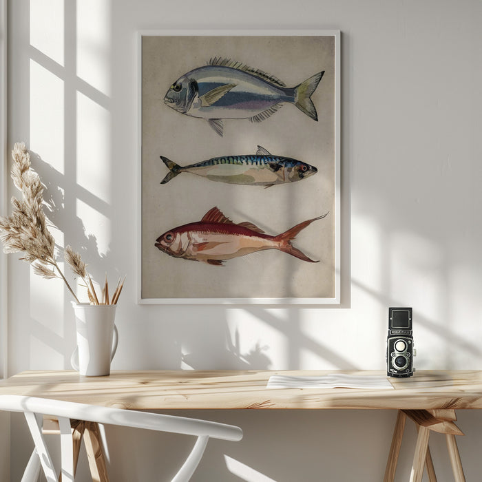 Deniz Baliklari  Fish Framed Art Wall Decor