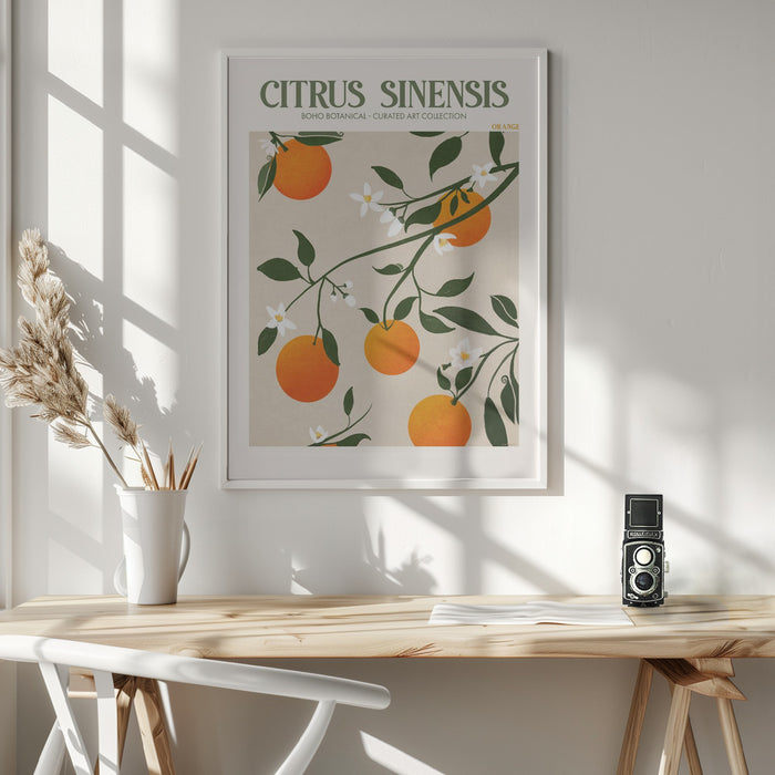 Citrus Framed Art Wall Decor