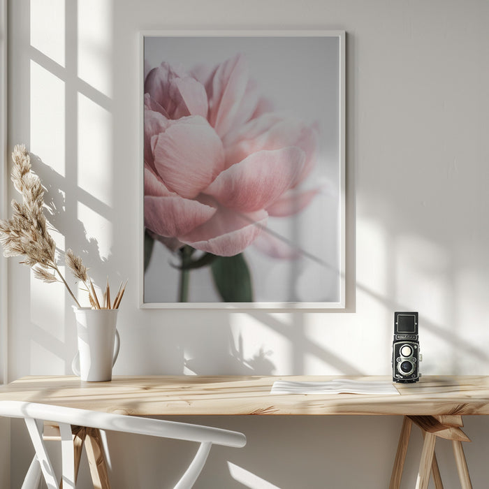 Peony 3 Framed Art Wall Decor