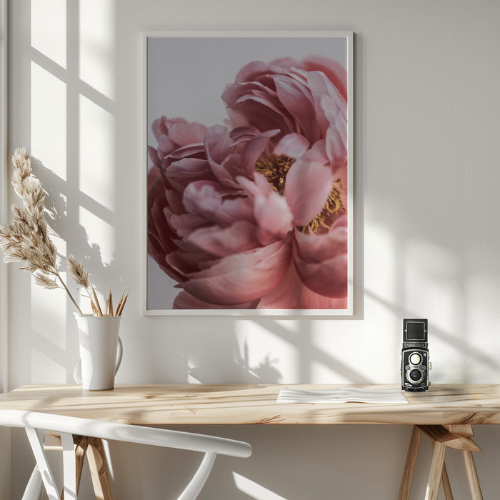 Peony Framed Art Wall Decor