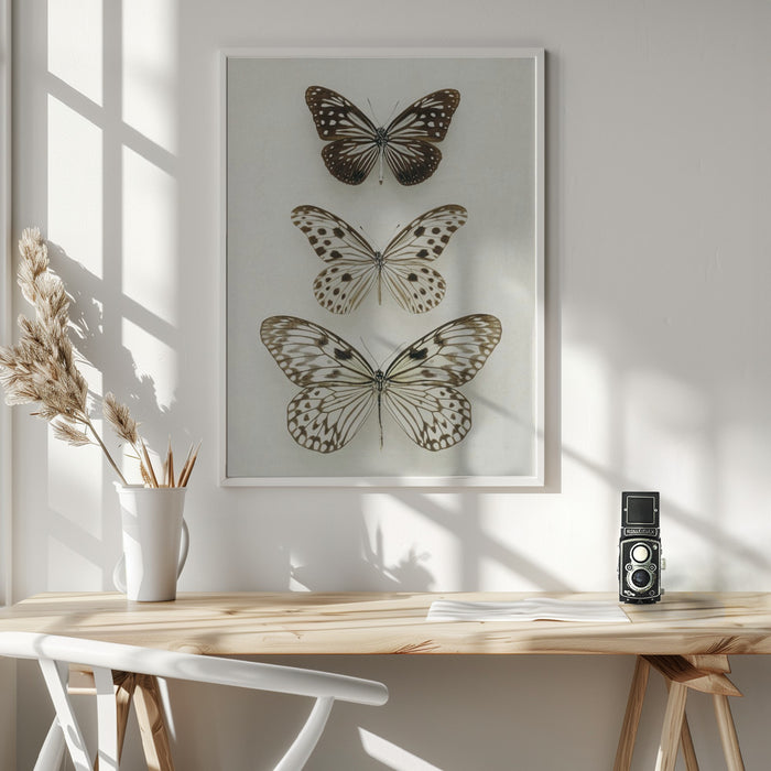 Three Neutral Butterflies Framed Art Wall Decor