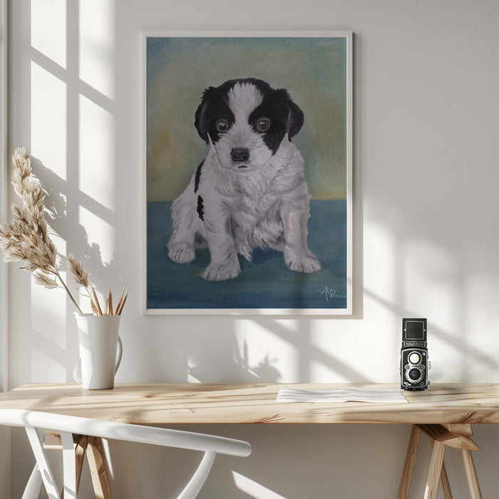 Border Collie Puppy Framed Art Wall Decor