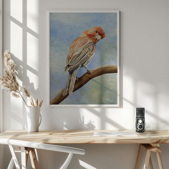 I Spy With My Little Eye   Male House Finch Framed Art Wall Decor