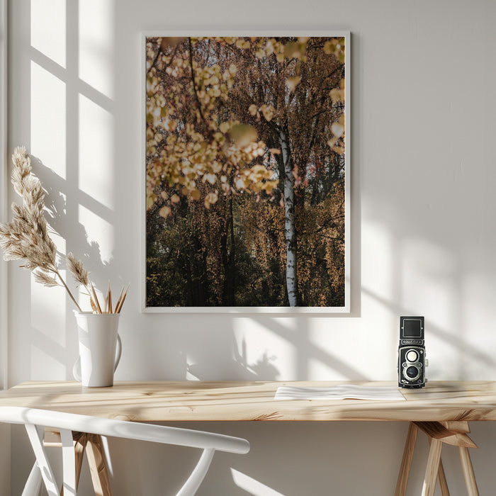 Autumn Birch Tree Framed Art Wall Decor