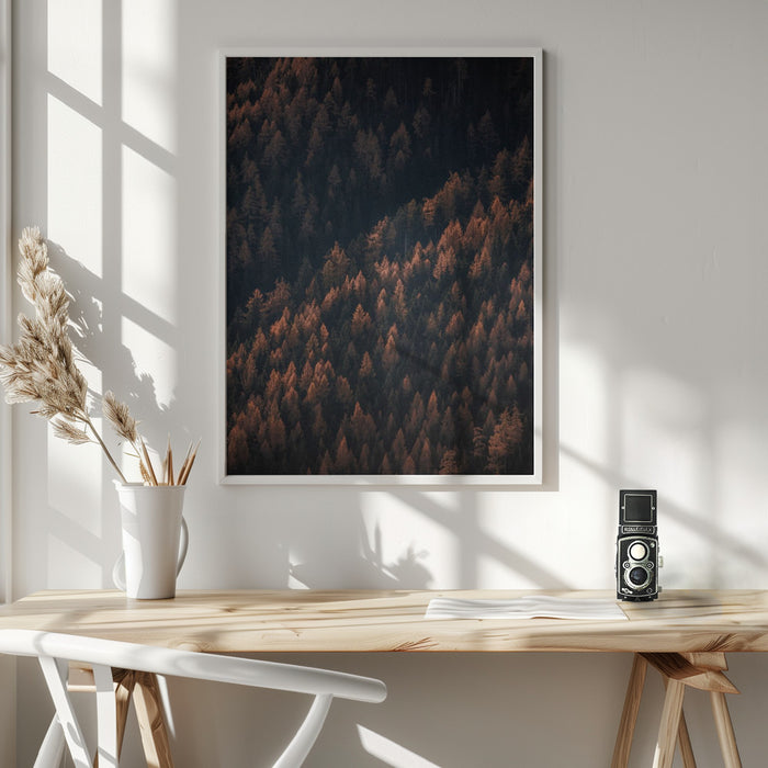 Autumn Woods 2 Framed Art Wall Decor