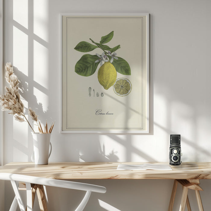 Lemon Framed Art Wall Decor