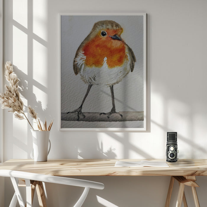 Robin Framed Art Wall Decor