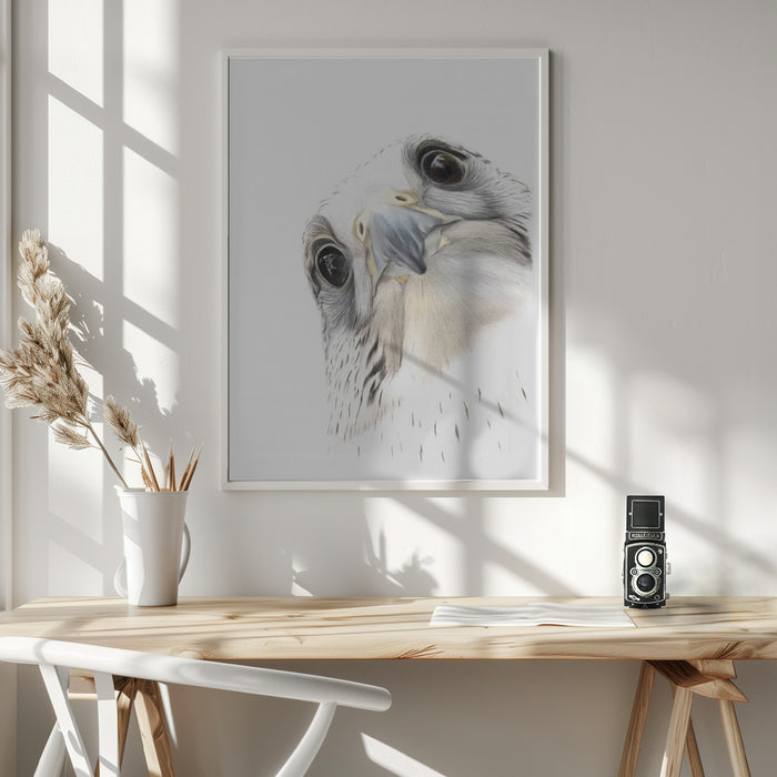 Falcon Framed Art Wall Decor