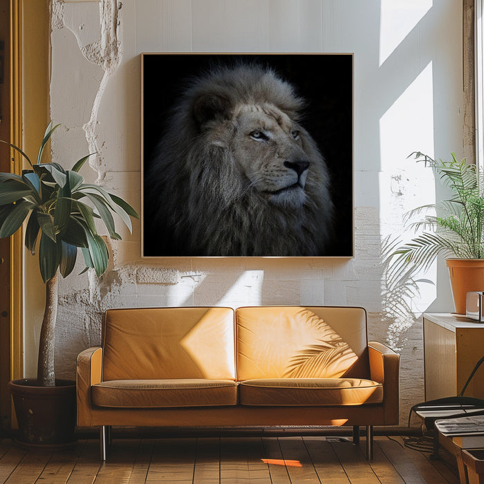 Proud Lion Square Canvas Art Print