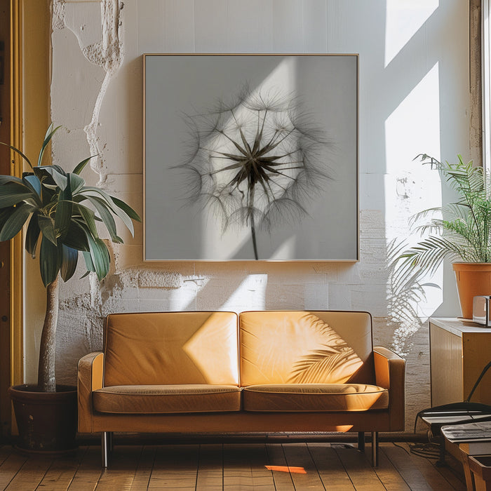 Tragopogon Square Canvas Art Print