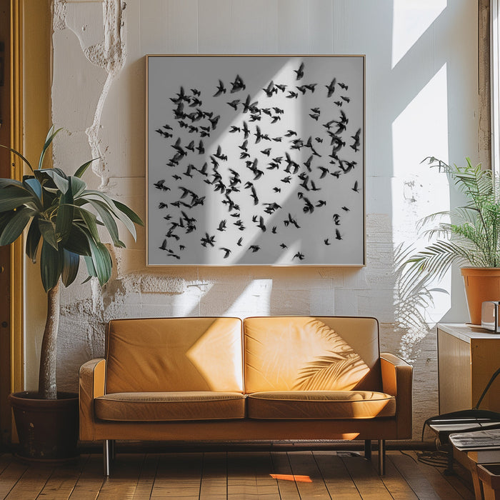 Birds Square Canvas Art Print