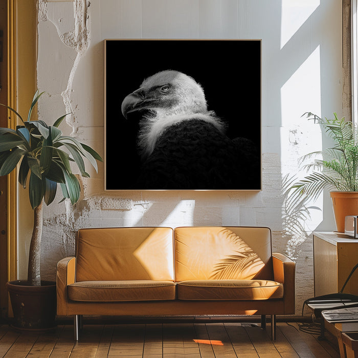 Eurasian Griffon #7 Square Canvas Art Print