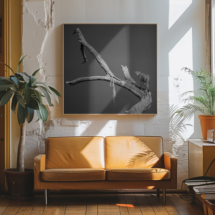 The Climb Square Canvas Art Print