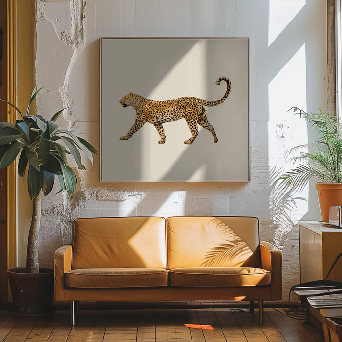 Leopard Square Canvas Art