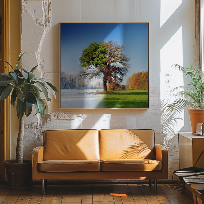 4 seasons Square Canvas Art Print