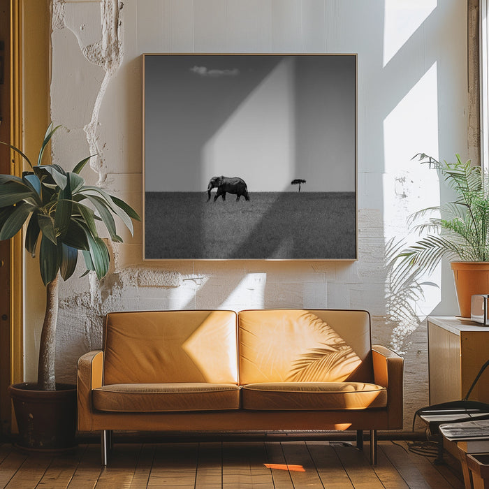 Elephant and the friendly cloud... Square Canvas Art Print