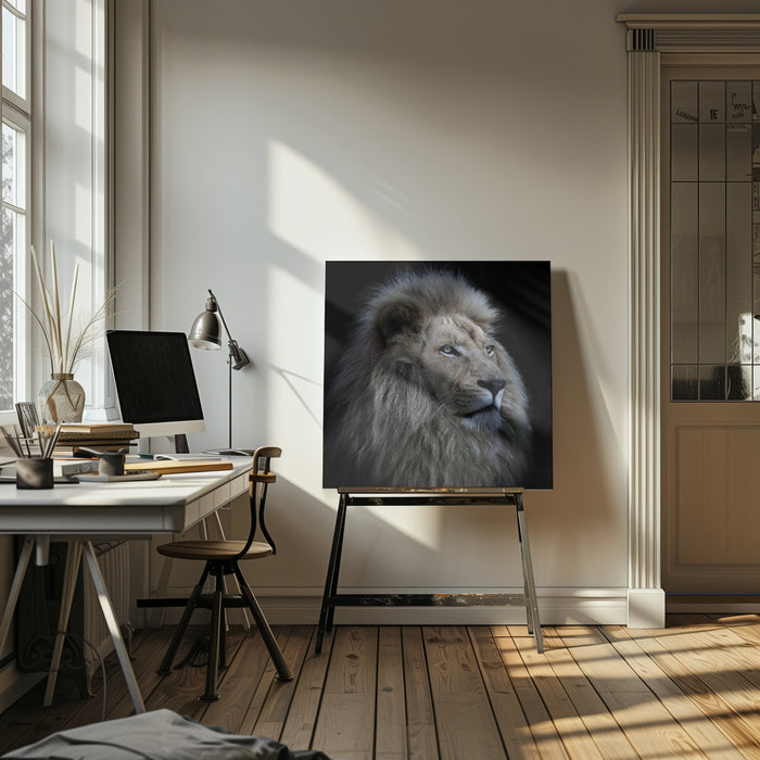 Proud Lion Square Canvas Art Print