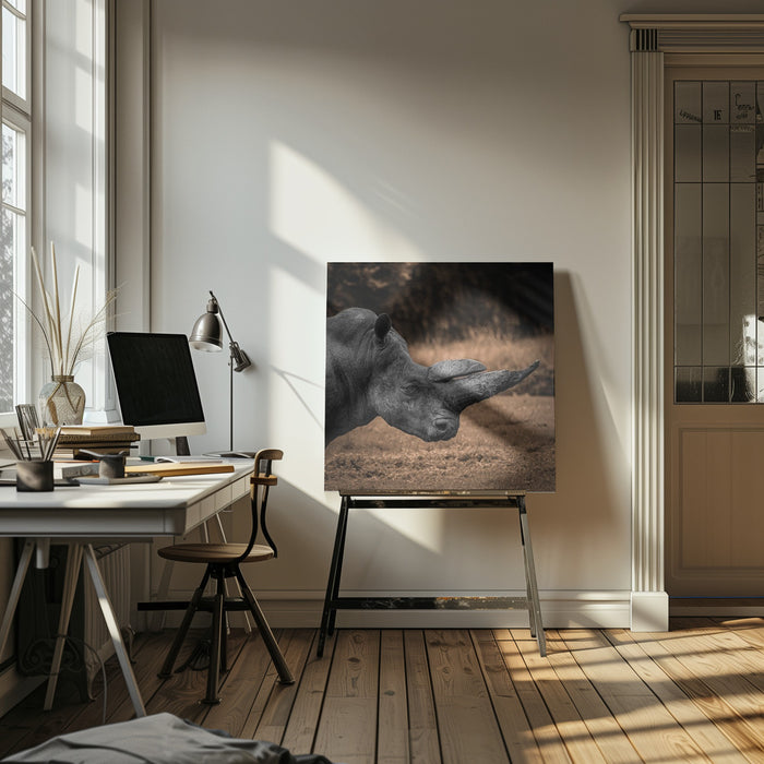 Rhinoceros Square Canvas Art Print