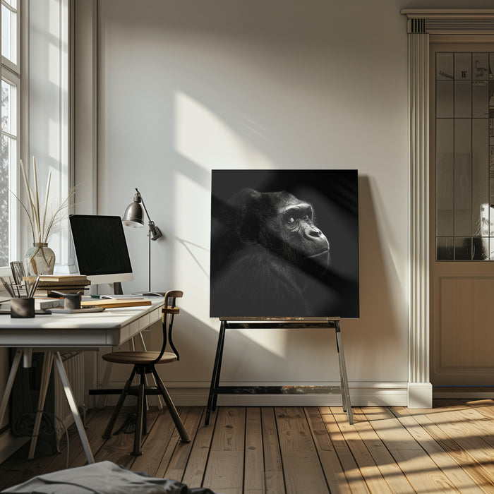 Gorilla Square Canvas Art Print