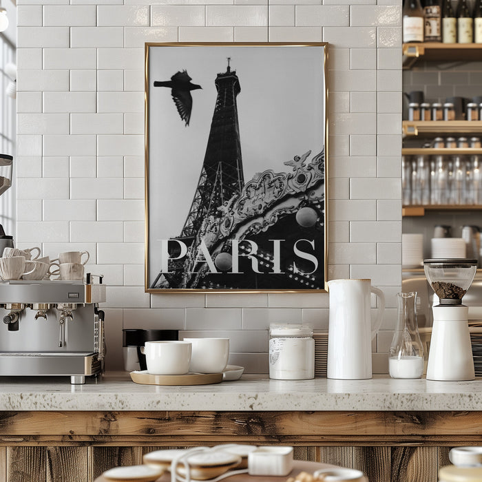 Paris Dove Framed Art Modern Wall Decor