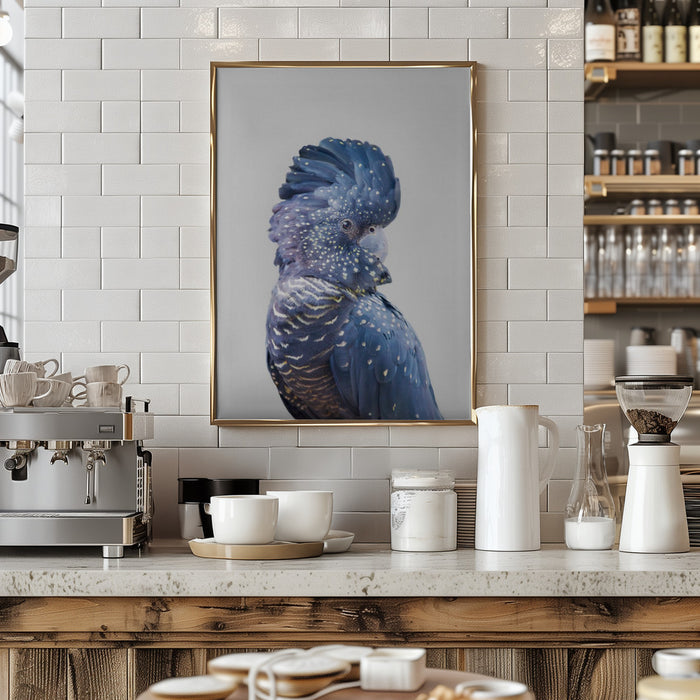 Black Cockatoo Framed Art Wall Decor