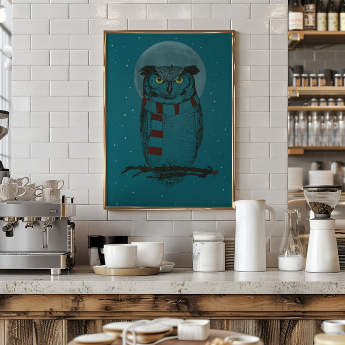 Winter owl Framed Art Modern Wall Decor