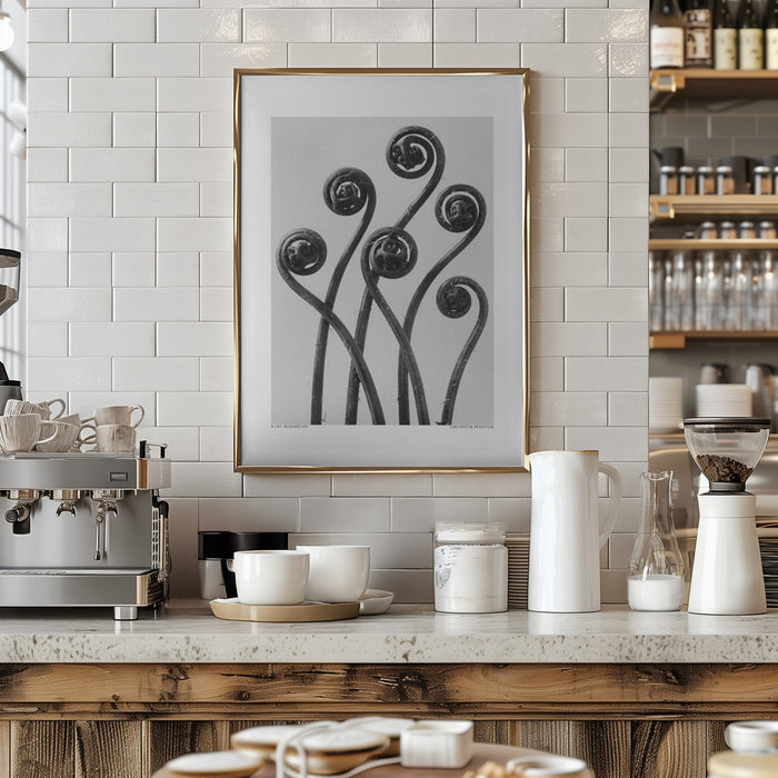 Adiantum pedatum Framed Art Modern Wall Decor